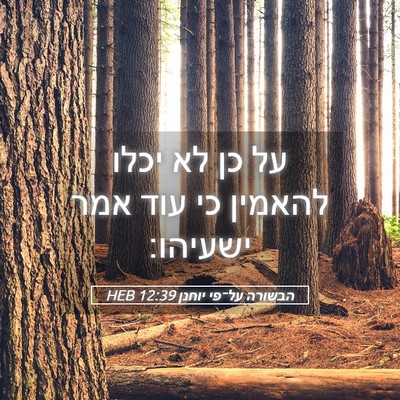 Picture 05 - הבשורה על־פי יוחנן 12:39 HEB - על כן לא יכלו להאמין כי עוד - Bible Verse Picture