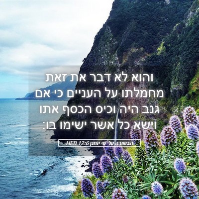 Picture 05 - הבשורה על־פי יוחנן 12:6 HEB - והוא לא דבר את זאת מחמלתו - Bible Verse Picture