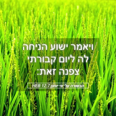 Picture 05 - הבשורה על־פי יוחנן 12:7 HEB - ויאמר ישוע הניחה לה ליום - Bible Verse Picture