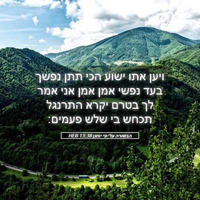 Picture 05 - הבשורה על־פי יוחנן 13:38 HEB - ויען אתו ישוע הכי תתן נפשך - Bible Verse Picture