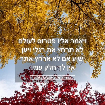 Picture 05 - הבשורה על־פי יוחנן 13:8 HEB - ויאמר אליו פטרוס לעולם לא - Bible Verse Picture
