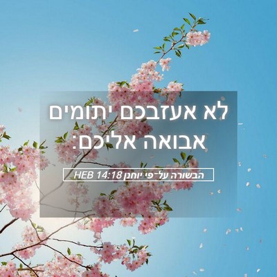 Picture 05 - הבשורה על־פי יוחנן 14:18 HEB - לא אעזבכם יתומים אבואה - Bible Verse Picture