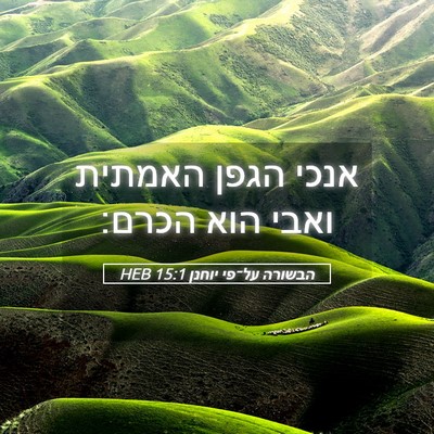 Picture 05 - הבשורה על־פי יוחנן 15:1 HEB - אנכי הגפן האמתית ואבי הוא - Bible Verse Picture