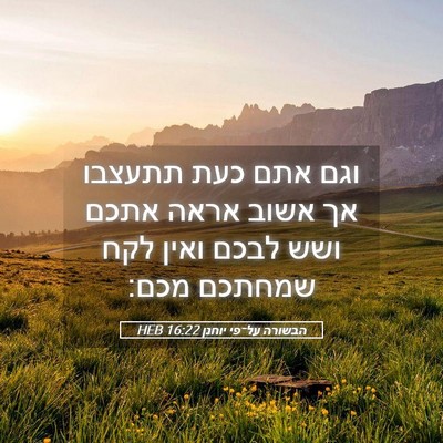 Picture 05 - הבשורה על־פי יוחנן 16:22 HEB - וגם אתם כעת תתעצבו אך אשוב - Bible Verse Picture