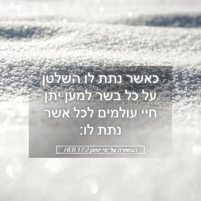 Picture 05 - הבשורה על־פי יוחנן 17:2 HEB - כאשר נתת לו השלטן על כל בשר - Bible Verse Picture