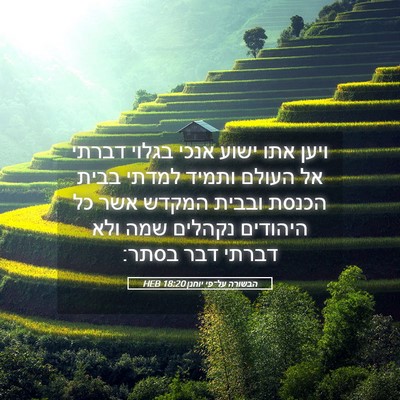Picture 05 - הבשורה על־פי יוחנן 18:20 HEB - ויען אתו ישוע אנכי בגלוי - Bible Verse Picture