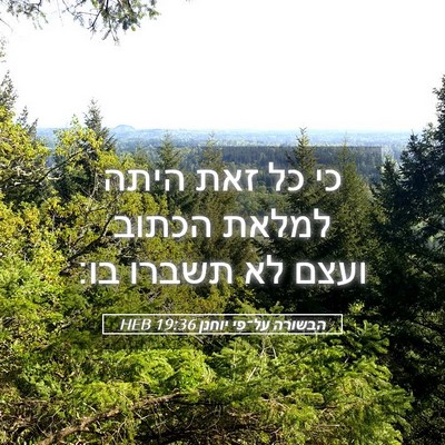 Picture 05 - הבשורה על־פי יוחנן 19:36 HEB - כי כל זאת היתה למלאת הכתוב - Bible Verse Picture