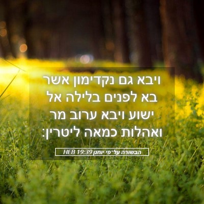 Picture 05 - הבשורה על־פי יוחנן 19:39 HEB - ויבא גם נקדימון אשר בא - Bible Verse Picture