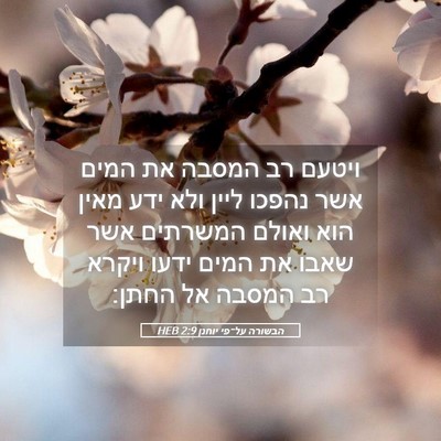 Picture 05 - הבשורה על־פי יוחנן 2:9 HEB - ויטעם רב המסבה את המים אשר - Bible Verse Picture