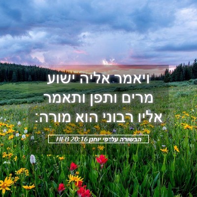 Picture 05 - הבשורה על־פי יוחנן 20:16 HEB - ויאמר אליה ישוע מרים ותפן - Bible Verse Picture