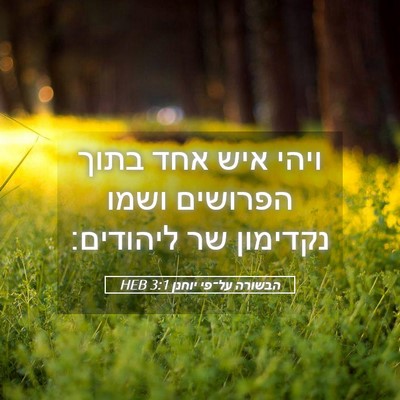 Picture 05 - הבשורה על־פי יוחנן 3:1 HEB - ויהי איש אחד בתוך הפרושים - Bible Verse Picture
