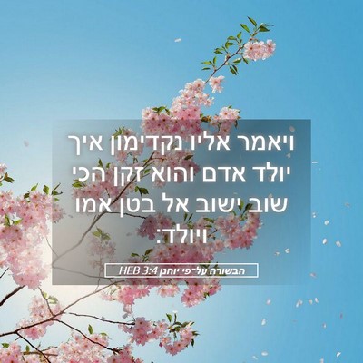 Picture 05 - הבשורה על־פי יוחנן 3:4 HEB - ויאמר אליו נקדימון איך - Bible Verse Picture