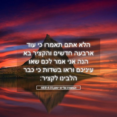 Picture 05 - הבשורה על־פי יוחנן 4:35 HEB - הלא אתם תאמרו כי עוד ארבעה - Bible Verse Picture