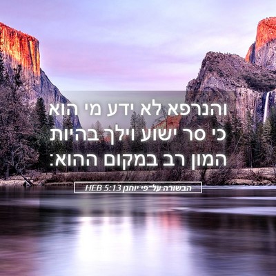 Picture 05 - הבשורה על־פי יוחנן 5:13 HEB - והנרפא לא ידע מי הוא כי סר - Bible Verse Picture
