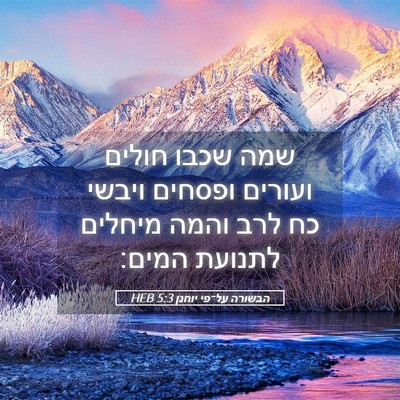 Picture 05 - הבשורה על־פי יוחנן 5:3 HEB - שמה שכבו חולים ועורים - Bible Verse Picture