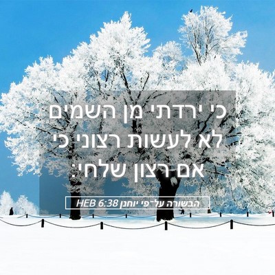 Picture 05 - הבשורה על־פי יוחנן 6:38 HEB - כי ירדתי מן השמים לא לעשות - Bible Verse Picture