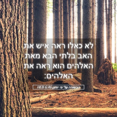 Picture 05 - הבשורה על־פי יוחנן 6:46 HEB - לא כאלו ראה איש את האב בלתי - Bible Verse Picture