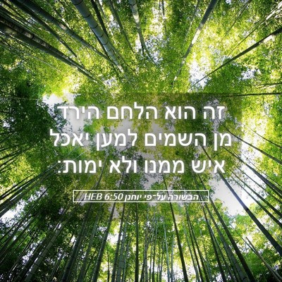 Picture 05 - הבשורה על־פי יוחנן 6:50 HEB - זה הוא הלחם הירד מן השמים - Bible Verse Picture