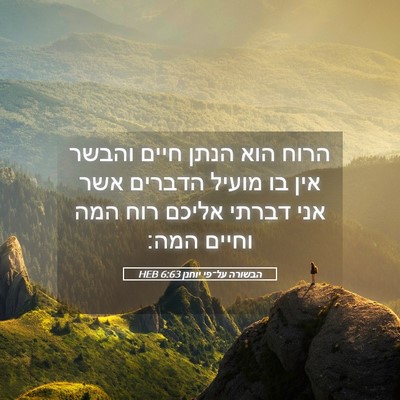 Picture 05 - הבשורה על־פי יוחנן 6:63 HEB - הרוח הוא הנתן חיים והבשר - Bible Verse Picture