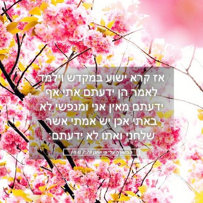 Picture 05 - הבשורה על־פי יוחנן 7:28 HEB - אז קרא ישוע במקדש וילמד - Bible Verse Picture