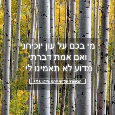 Picture 05 - הבשורה על־פי יוחנן 8:46 HEB - מי בכם על עון יוכיחני ואם - Bible Verse Picture