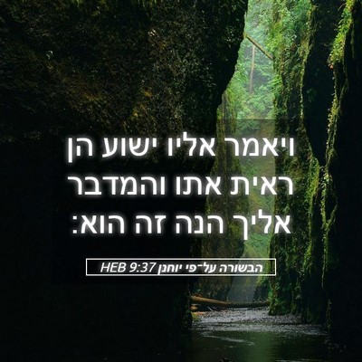 Picture 05 - הבשורה על־פי יוחנן 9:37 HEB - ויאמר אליו ישוע הן ראית אתו - Bible Verse Picture