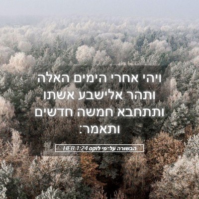 Picture 05 - הבשורה על־פי לוקס 1:24 HEB - ויהי אחרי הימים האלה ותהר - Bible Verse Picture