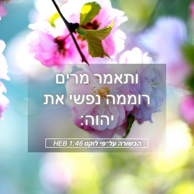 Picture 05 - הבשורה על־פי לוקס 1:46 HEB - ותאמר מרים רוממה נפשי את - Bible Verse Picture
