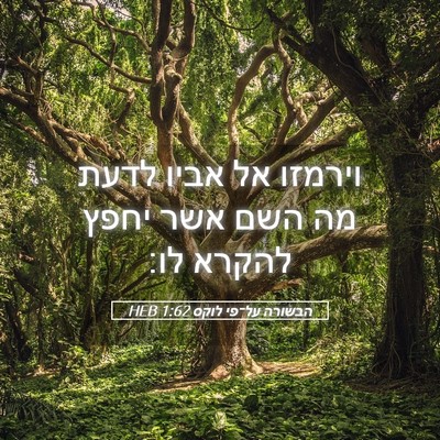 Picture 05 - הבשורה על־פי לוקס 1:62 HEB - וירמזו אל אביו לדעת מה השם - Bible Verse Picture