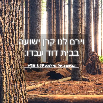 Picture 05 - הבשורה על־פי לוקס 1:69 HEB - וירם לנו קרן ישועה בבית דוד - Bible Verse Picture