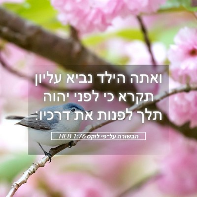Picture 05 - הבשורה על־פי לוקס 1:76 HEB - ואתה הילד נביא עליון תקרא - Bible Verse Picture