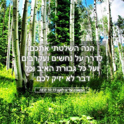 Picture 05 - הבשורה על־פי לוקס 10:19 HEB - הנה השלטתי אתכם לדרך על - Bible Verse Picture