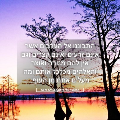 Picture 05 - הבשורה על־פי לוקס 12:24 HEB - התבוננו אל הערבים אשר אינם - Bible Verse Picture