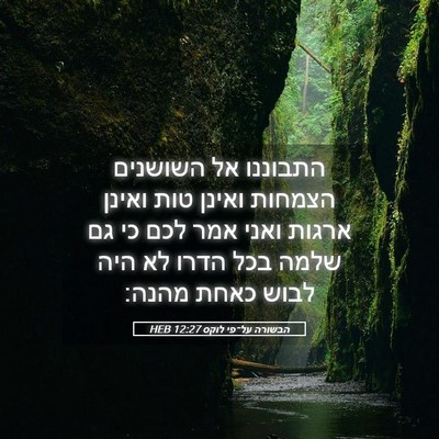 Picture 05 - הבשורה על־פי לוקס 12:27 HEB - התבוננו אל השושנים הצמחות - Bible Verse Picture