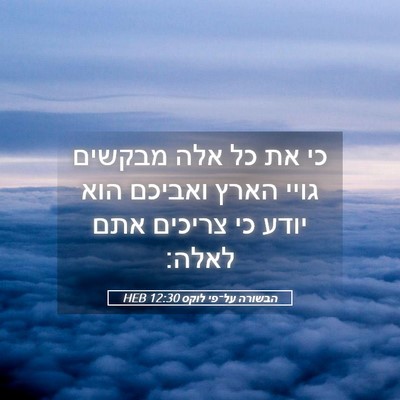 Picture 05 - הבשורה על־פי לוקס 12:30 HEB - כי את כל אלה מבקשים גויי - Bible Verse Picture