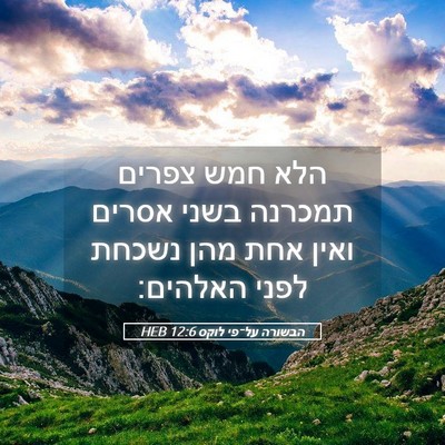 Picture 05 - הבשורה על־פי לוקס 12:6 HEB - הלא חמש צפרים תמכרנה בשני - Bible Verse Picture