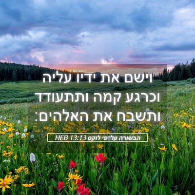 Picture 05 - הבשורה על־פי לוקס 13:13 HEB - וישם את ידיו עליה וכרגע קמה - Bible Verse Picture