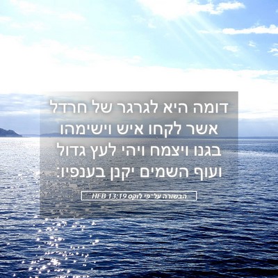 Picture 05 - הבשורה על־פי לוקס 13:19 HEB - דומה היא לגרגר של חרדל אשר - Bible Verse Picture