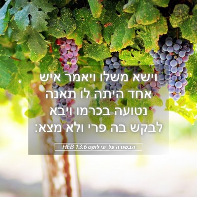 Picture 05 - הבשורה על־פי לוקס 13:6 HEB - וישא משלו ויאמר איש אחד - Bible Verse Picture