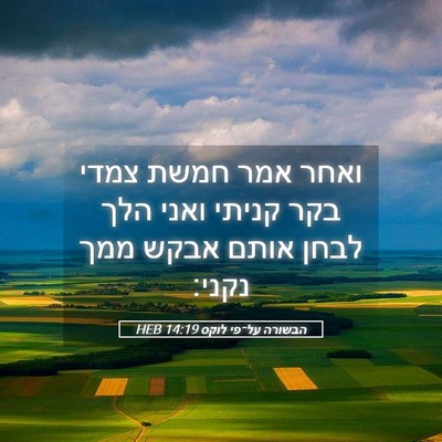 Picture 05 - הבשורה על־פי לוקס 14:19 HEB - ואחר אמר חמשת צמדי בקר - Bible Verse Picture