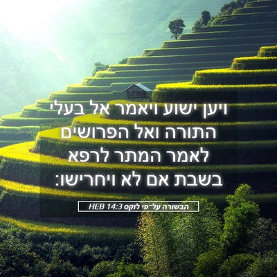 Picture 05 - הבשורה על־פי לוקס 14:3 HEB - ויען ישוע ויאמר אל בעלי - Bible Verse Picture
