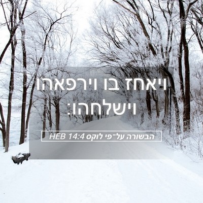 Picture 05 - הבשורה על־פי לוקס 14:4 HEB - ויאחז בו וירפאהו - Bible Verse Picture