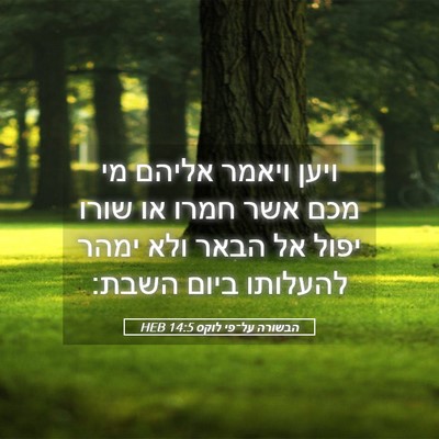 Picture 05 - הבשורה על־פי לוקס 14:5 HEB - ויען ויאמר אליהם מי מכם אשר - Bible Verse Picture