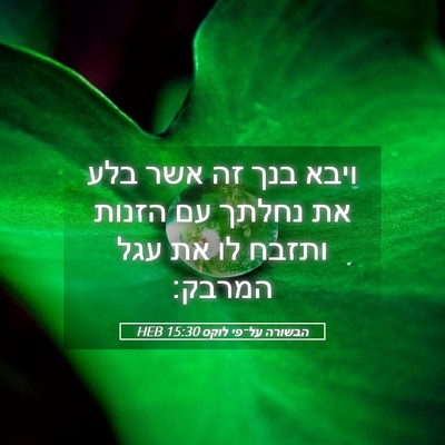Picture 05 - הבשורה על־פי לוקס 15:30 HEB - ויבא בנך זה אשר בלע את - Bible Verse Picture