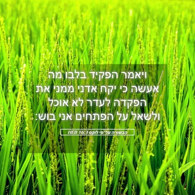 Picture 05 - הבשורה על־פי לוקס 16:3 HEB - ויאמר הפקיד בלבו מה אעשה כי - Bible Verse Picture