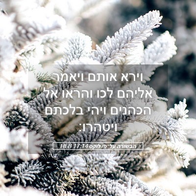 Picture 05 - הבשורה על־פי לוקס 17:14 HEB - וירא אותם ויאמר אליהם לכו - Bible Verse Picture