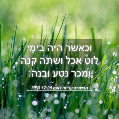 Picture 05 - הבשורה על־פי לוקס 17:28 HEB - וכאשר היה בימי לוט אכל ושתה - Bible Verse Picture
