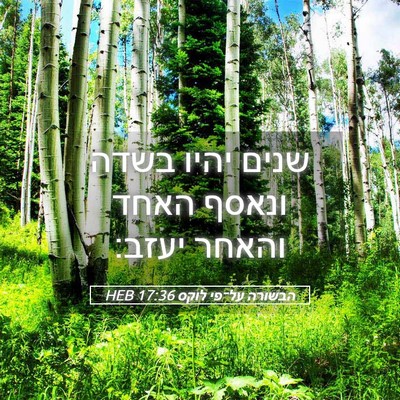 Picture 05 - הבשורה על־פי לוקס 17:36 HEB - שנים יהיו בשדה ונאסף האחד - Bible Verse Picture