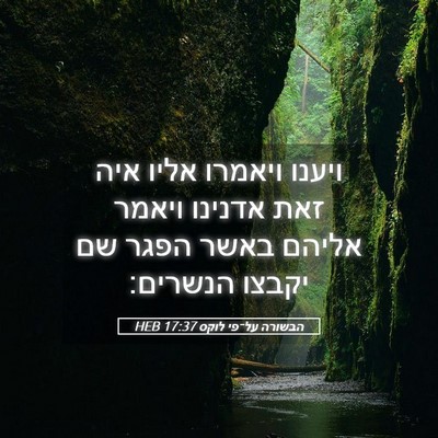 Picture 05 - הבשורה על־פי לוקס 17:37 HEB - ויענו ויאמרו אליו איה זאת - Bible Verse Picture