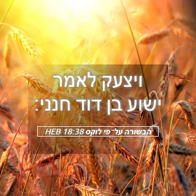 Picture 05 - הבשורה על־פי לוקס 18:38 HEB - ויצעק לאמר ישוע בן דוד - Bible Verse Picture